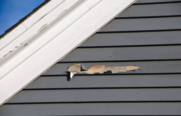 Best Engineered Wood Siding  in Vaiden, MS