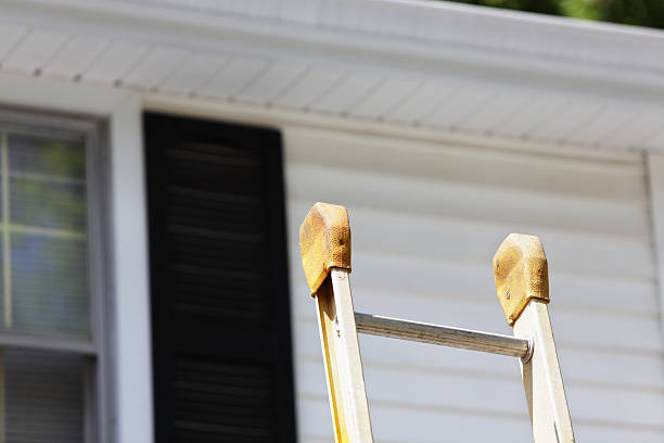 Best Fascia and Soffit Installation  in Vaiden, MS