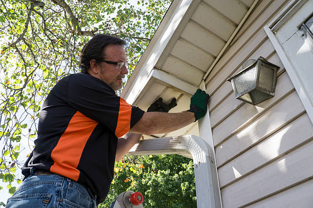 Affordable siding repair and maintenance services in Vaiden, MS